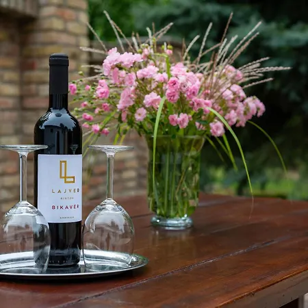 Guest house Degi Festetics-kastely, Park Vendeghaz 3*