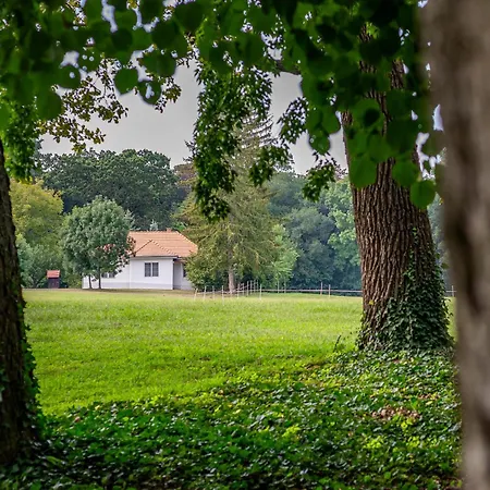 Gasthuis Degi Festetics-kastely, Park Vendeghaz Dég