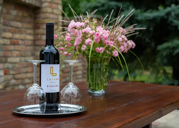 Gasthuis Degi Festetics-kastely, Park Vendeghaz 3*