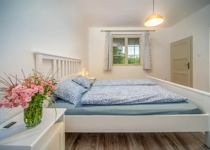 Degi Festetics-kastely, Park Vendeghaz