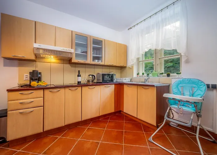 Degi Festetics-kastely, Park Vendeghaz