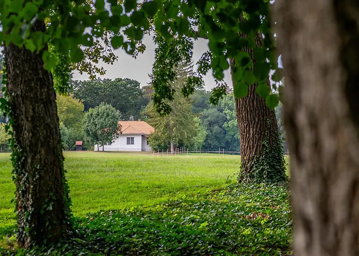בית הארחה Degi Festetics-kastely, Park Vendeghaz Dég